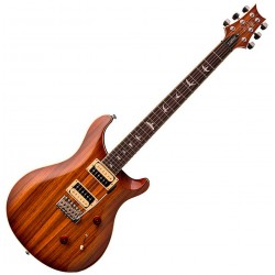 PRS SE Custom 24 Guitar Zebrawood VSB
