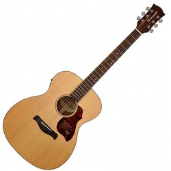 Richwood A-20E Master Series Acoustic guitar