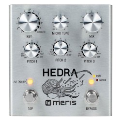 Meris Hedra pitch