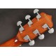 Richwood RMB-606 Master Series Guitar Banjo 6-Strenget Front