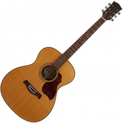 Richwood A-65-VA Acoustic Guitar