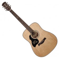 Richwood D-40L Western guitar (Venstrehånd)