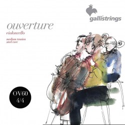 Gallistrings Overture Synth Violin 4/4 Strings