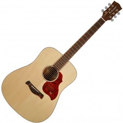 Richwood D-220 All Solid MS CS Dreadnought front