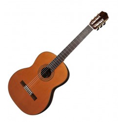 Salvador Cortez CC-60 Klassisk/spansk guitar 4/4