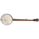 Fender PB-180E banjo angled