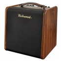 Richwood RAC-50 Acoustic Amplifier