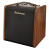 Richwood RAC-50 Acoustic Amplifier